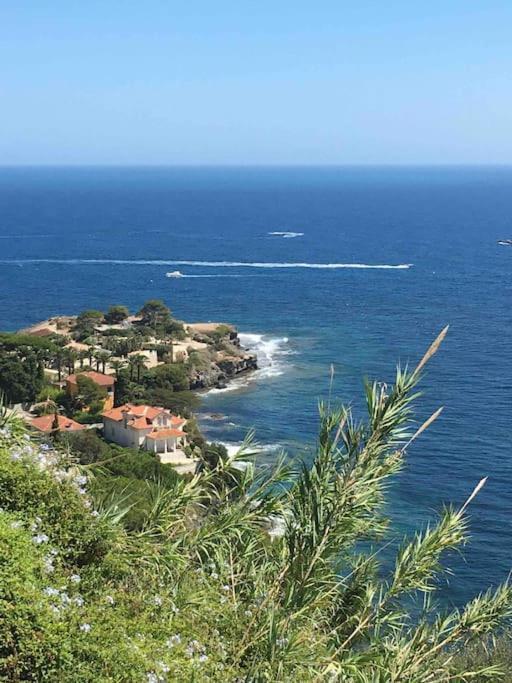 Vue Mer Incroyable Aux Portes De Monaco 카프다일 외부 사진